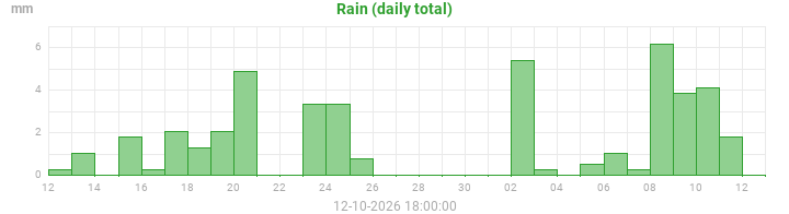rain